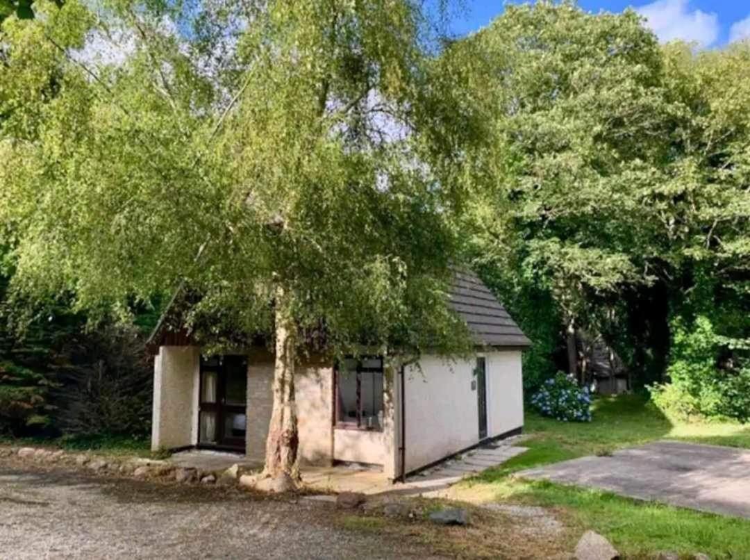 St Ives Bluebell Cottage Dış mekan fotoğraf